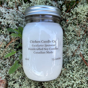 12oz Eucalyptus Spearmint Scented Soy Candle